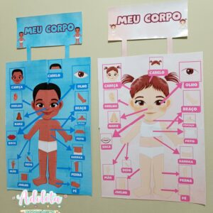 Painel Conhecendo meu Corpo